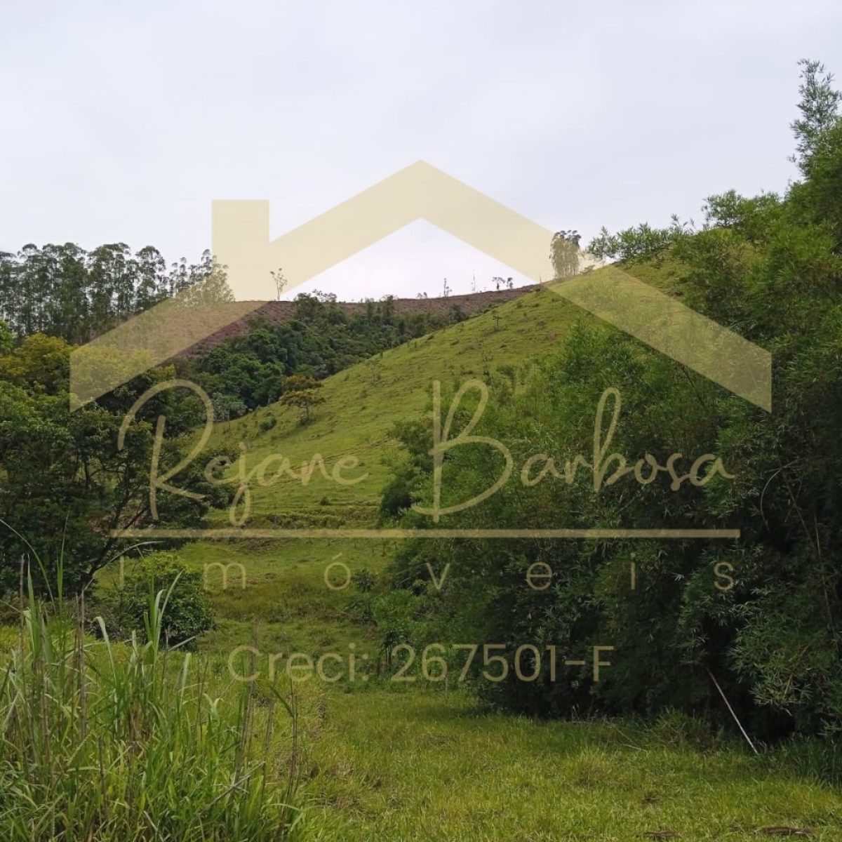 Sítio à Venda – 6 Alqueires em Guaratinguetá - Porteira Fechada Se você busca tranquilidade, contato com a natureza e infraestrutura completa, esta propriedade rural é ideal para você! 💰 Venda com porteira fechada – Leve tudo o que está dentro do Sítio, exceto uma geladeira. 📍 Localização estratégica: A apenas 8 km da Rodovia Presidente Dutra, garantindo fácil acesso e comodidade. 🏡 Infraestrutura Completa ✅ Casa Principal: • 4 quartos • 2 banheiros • Cozinha e copa • Sala espaçosa • Varanda • Churrasqueira • Piscina • Pomar • Galinheiro e paiol ✅ Casa do Caseiro: • 2 quartos • Sala e cozinha • Banheiro • Área de serviço com fogão a lenha • Pomar 🌾 Destaques da Propriedade ✔️ 2 lagos com peixes ✔️ 2 nascentes de água ✔️ Pasto limpo e bem cuidado (braquiária, sem pragas) ✔️ Cada casa com caixa d’água e relógio de luz individuais 🌿 Aproveite essa oportunidade única para morar ou investir! Entre em contato e agende sua visita!