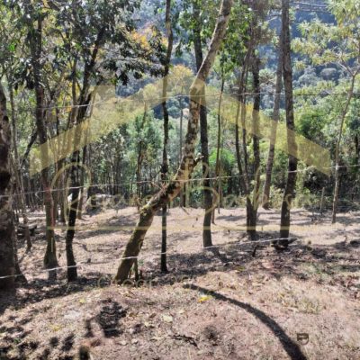 🏔️ TERRENO EXCLUSIVO EM CAMPOS DO JORDÃO Parque Pedra do Baú - Área Nobre de 1209m² ✨ OPORTUNIDADE ÚNICA NA SUÍÇA BRASILEIRA Terreno premium na luxuosa Campos do Jordão, a cidade mais charmosa e valorizada da Serra da Mantiqueira. 🏘️ LOCALIZAÇÃO PREMIUM Loteamento Parque Pedra do Baú Área nobre em condomínio 1.209m² de área total 🏗️ PRONTO PARA CONSTRUIR Projeto residencial já autorizado Localização privilegiada em rua residencial exclusiva 💎 DIFERENCIAL ÚNICO E CRIATIVO Duas pedras naturais majestosas no terreno - uma oportunidade incrível para arquitetos criativos integrarem à casa dos sonhos com design exclusivo e paisagismo natural. 🎯 POR QUE CAMPOS DO JORDÃO? Destino turístico de luxo nacional Valorização imobiliária constante Clima europeu o ano todo Qualidade de vida incomparável Investimento seguro e rentável 💎 EXCLUSIVIDADE GARANTIDA Terreno em área nobre + cidade de alto padrão + características únicas = Oportunidade rara no mercado 📞 CONSULTE AGORA Seu refúgio de luxo na montanha te espera!