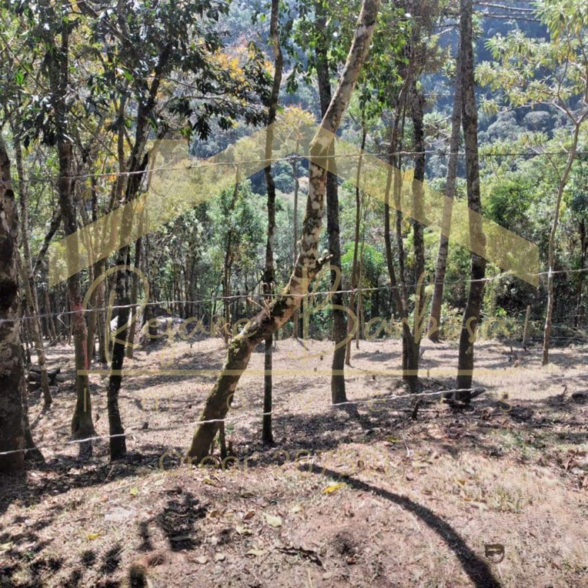 🏔️ TERRENO EXCLUSIVO EM CAMPOS DO JORDÃO Parque Pedra do Baú - Área Nobre de 1209m² ✨ OPORTUNIDADE ÚNICA NA SUÍÇA BRASILEIRA Terreno premium na luxuosa Campos do Jordão, a cidade mais charmosa e valorizada da Serra da Mantiqueira. 🏘️ LOCALIZAÇÃO PREMIUM Loteamento Parque Pedra do Baú Área nobre em condomínio 1.209m² de área total 🏗️ PRONTO PARA CONSTRUIR Projeto residencial já autorizado Localização privilegiada em rua residencial exclusiva 💎 DIFERENCIAL ÚNICO E CRIATIVO Duas pedras naturais majestosas no terreno - uma oportunidade incrível para arquitetos criativos integrarem à casa dos sonhos com design exclusivo e paisagismo natural. 🎯 POR QUE CAMPOS DO JORDÃO? Destino turístico de luxo nacional Valorização imobiliária constante Clima europeu o ano todo Qualidade de vida incomparável Investimento seguro e rentável 💎 EXCLUSIVIDADE GARANTIDA Terreno em área nobre + cidade de alto padrão + características únicas = Oportunidade rara no mercado 📞 CONSULTE AGORA Seu refúgio de luxo na montanha te espera!