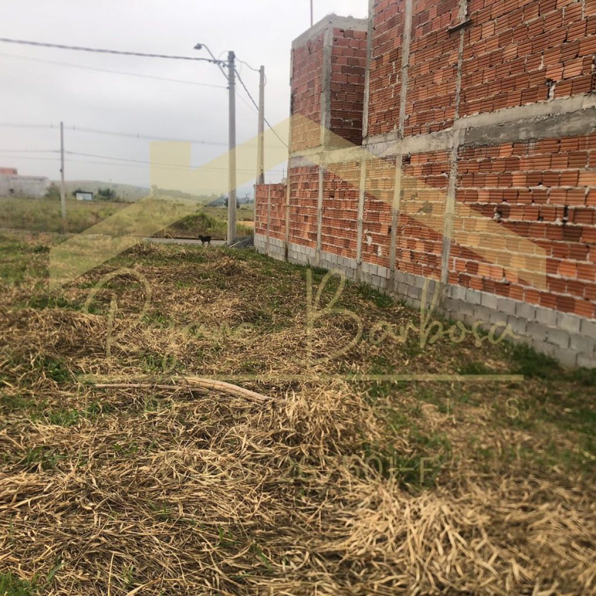 Oportunidade Imperdível no Jardim das Figueiras! Realize o sonho de investir ou construir no bairro que é sinônimo de crescimento e valorização: Jardim das Figueiras, em Guaratinguetá. Apresentamos um terreno com 8 metros de frente por 20 metros de lateral, ideal para quem busca espaço e praticidade. Além disso, o lote já conta com: ✔ Rua pavimentada ✔ Rede de esgoto ✔ Água e iluminação prontos para uso Não perca essa chance de adquirir um terreno em uma localização privilegiada e com infraestrutura completa. Entre em contato agora mesmo e garanta seu lugar no futuro!